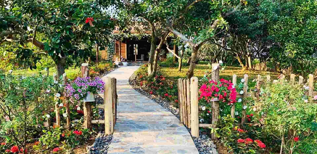 Zen House